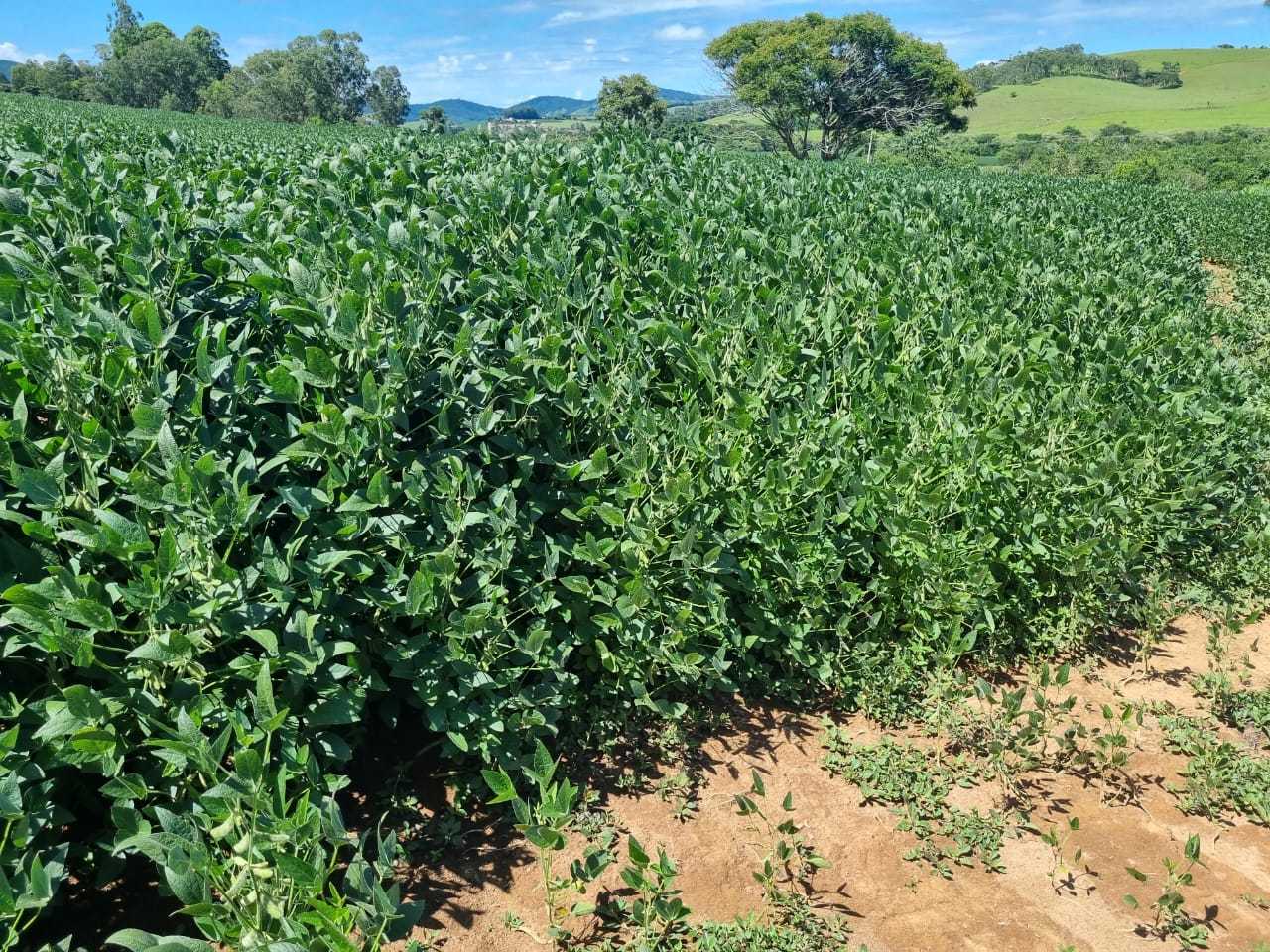 Fazenda à venda com 4 quartos, 1452000m² - Foto 2