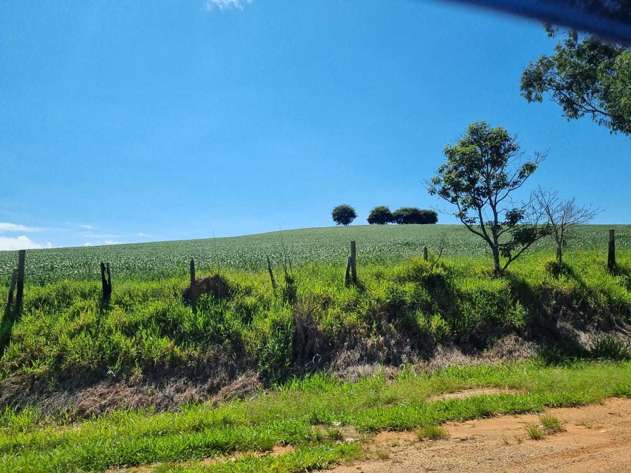 Fazenda à venda com 4 quartos, 1452000m² - Foto 13