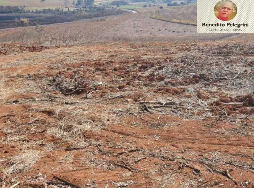 Fazenda à venda com 4 quartos, 1452000m² - Foto 17
