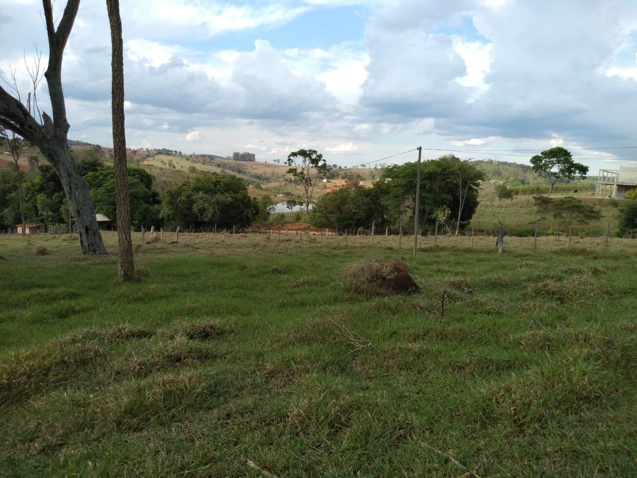 Fazenda à venda com 3 quartos, 30000m² - Foto 4