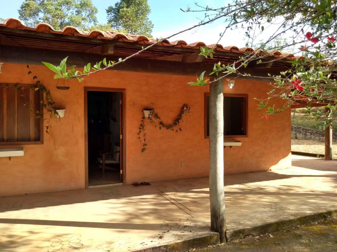 Fazenda à venda com 3 quartos, 30000m² - Foto 3