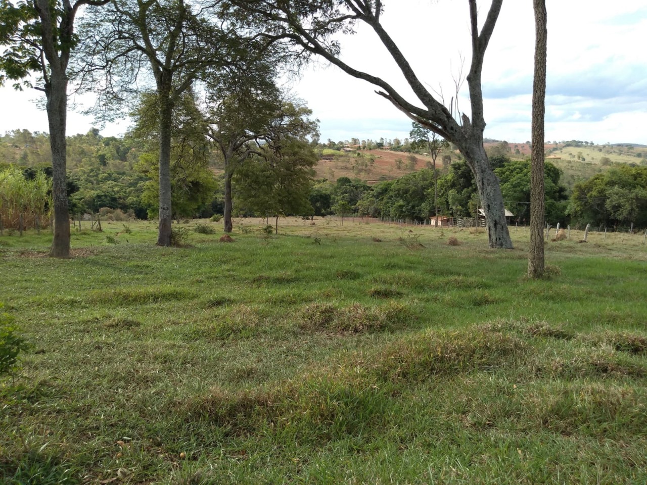Fazenda à venda com 3 quartos, 30000m² - Foto 5