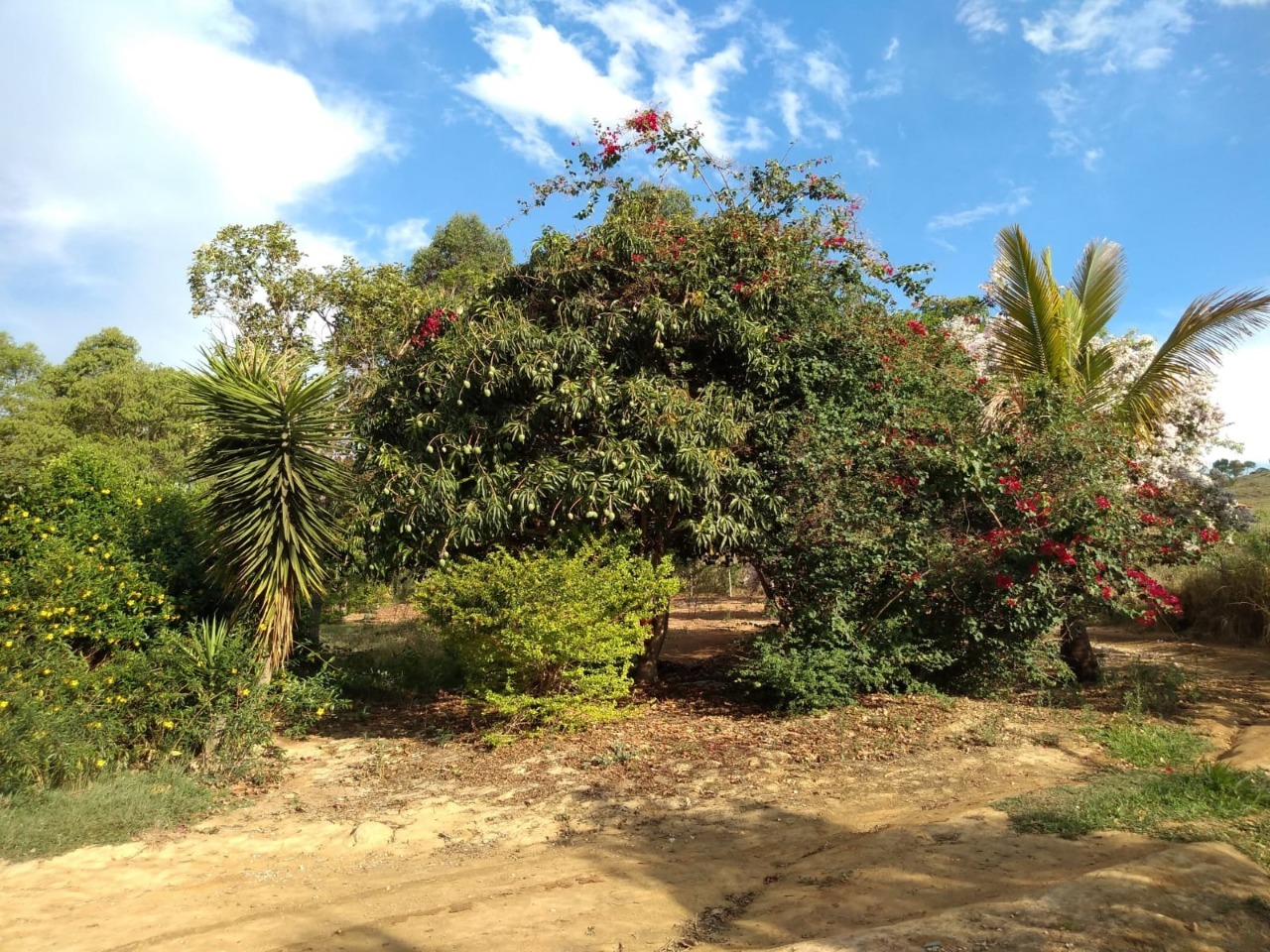 Fazenda à venda com 3 quartos, 30000m² - Foto 8