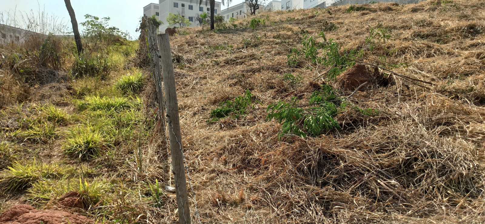 Terreno à venda, 2163m² - Foto 7