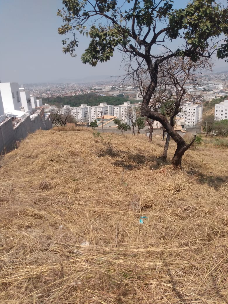 Terreno à venda, 2163m² - Foto 5