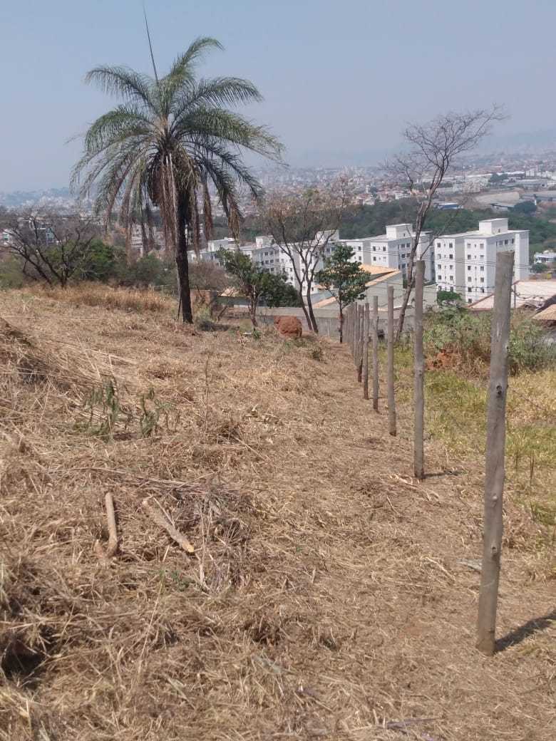 Terreno à venda, 2163m² - Foto 9