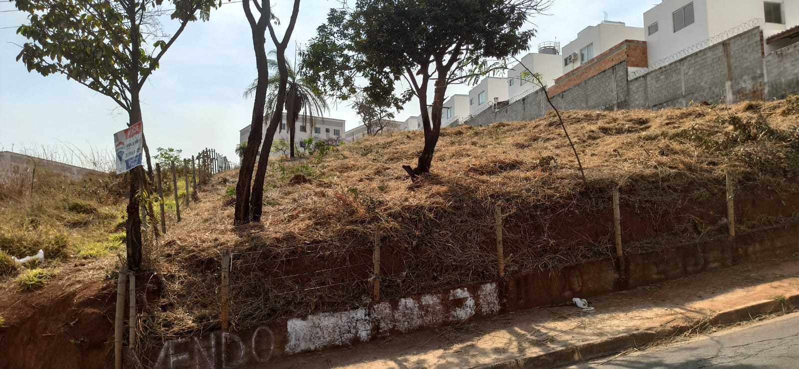 Terreno à venda, 2163m² - Foto 1
