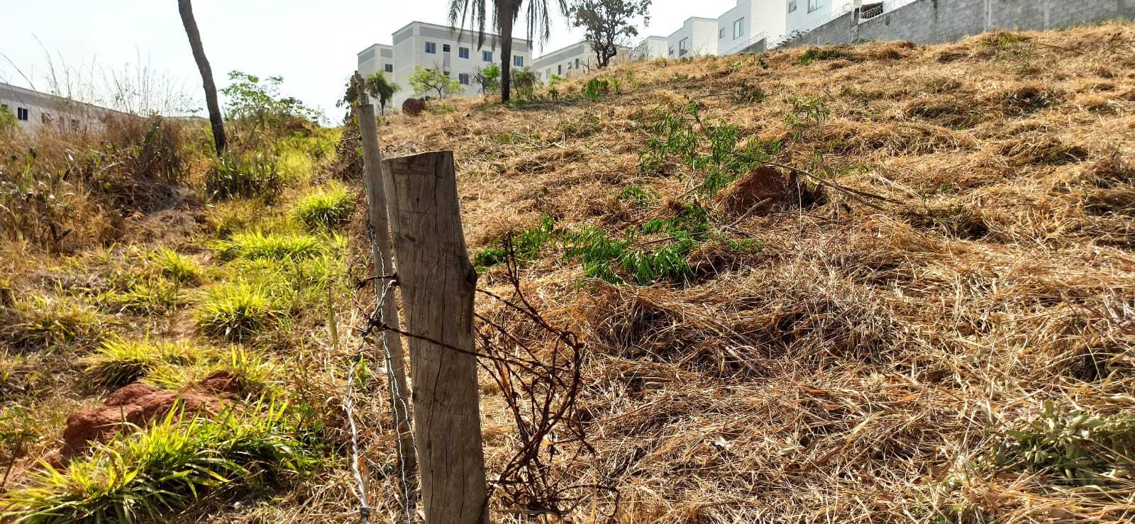 Terreno à venda, 2163m² - Foto 4