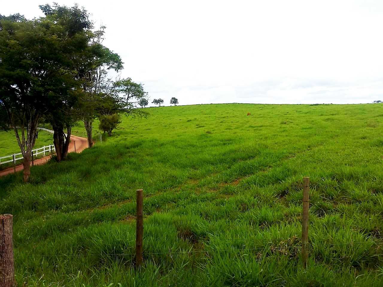 Fazenda à venda com 4 quartos, 6530000m² - Foto 7