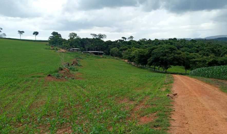 Fazenda à venda com 4 quartos, 6530000m² - Foto 2