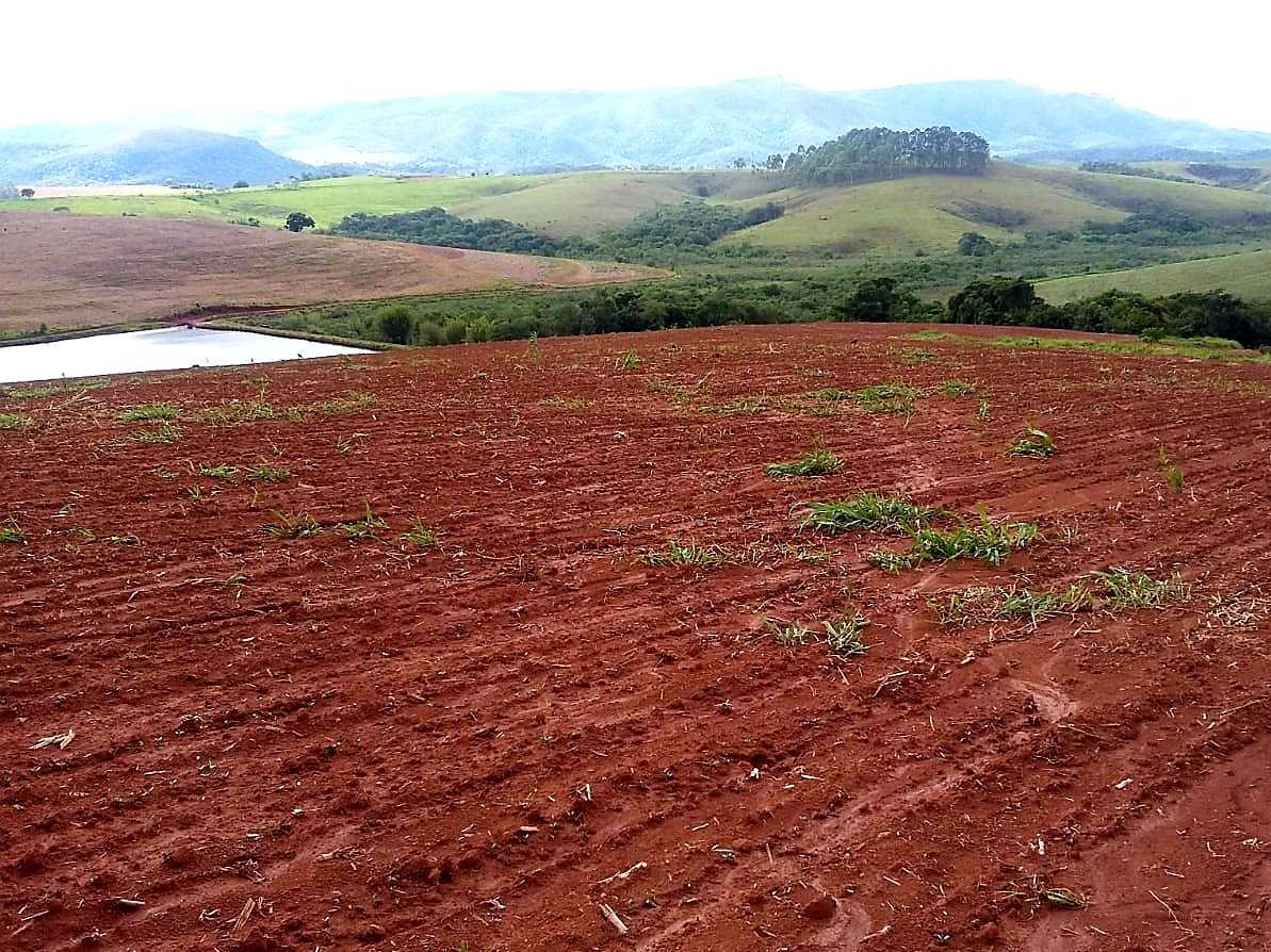 Fazenda à venda com 4 quartos, 6530000m² - Foto 6