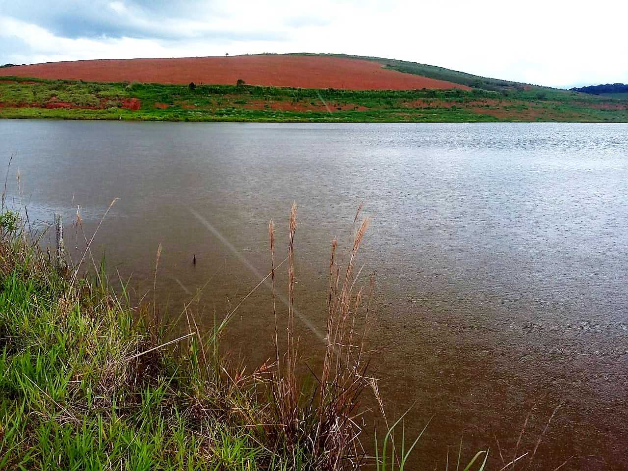 Fazenda à venda com 4 quartos, 6530000m² - Foto 14