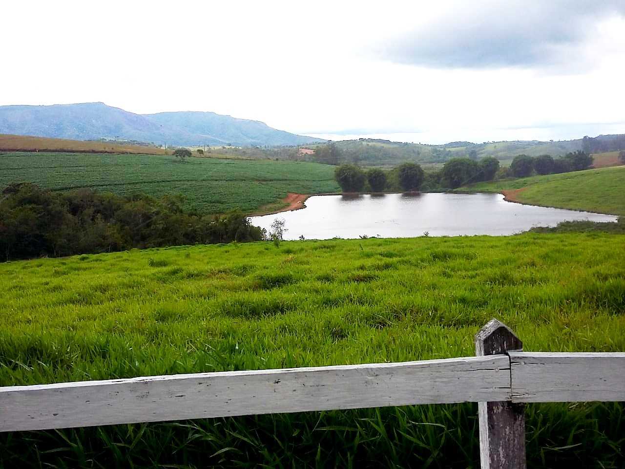 Fazenda à venda com 4 quartos, 6530000m² - Foto 8