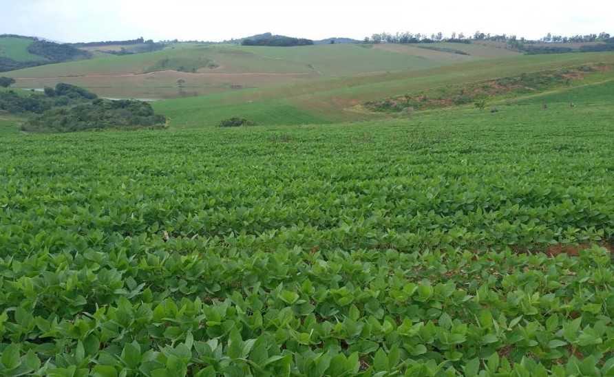 Fazenda à venda com 4 quartos, 6530000m² - Foto 10