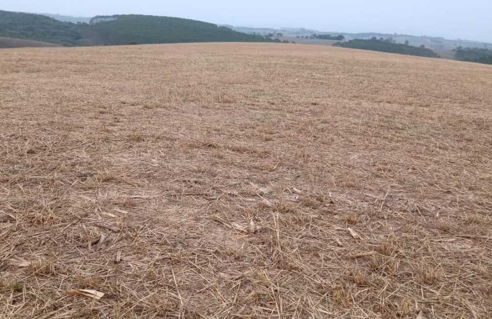 Fazenda à venda com 4 quartos, 6530000m² - Foto 24