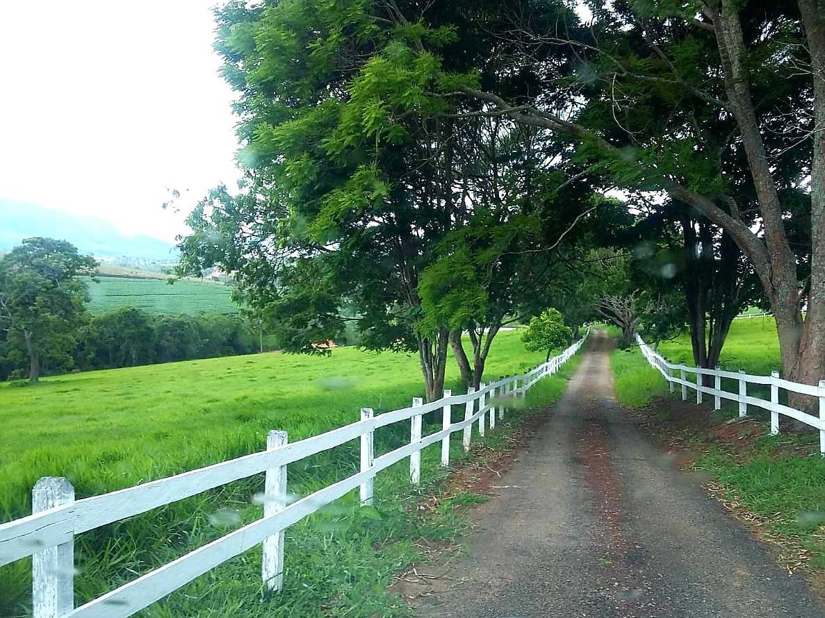 Fazenda à venda com 4 quartos, 6530000m² - Foto 3