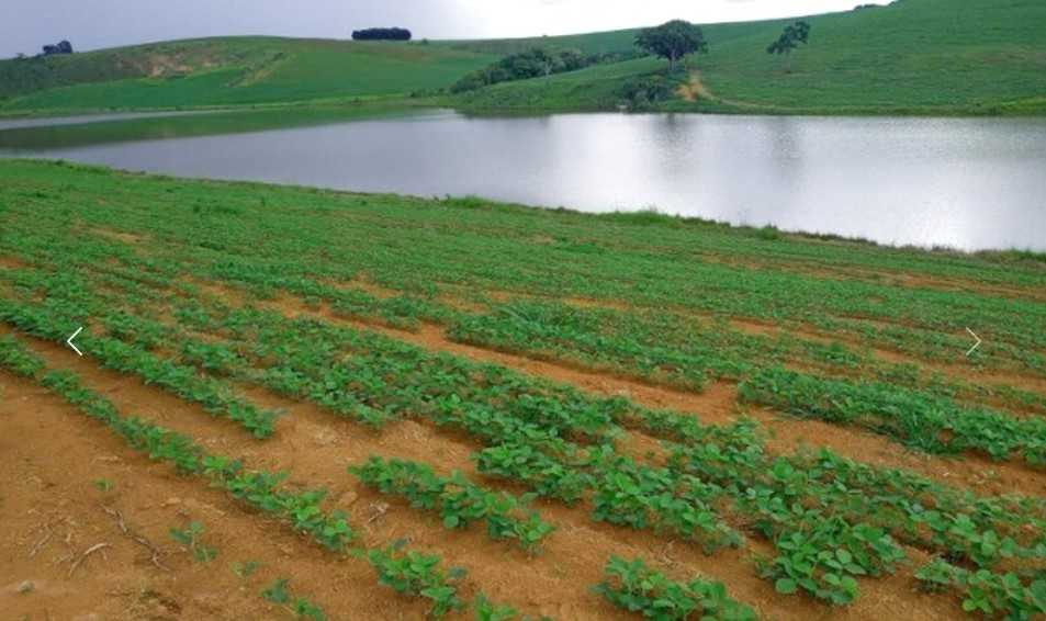 Fazenda à venda com 4 quartos, 6530000m² - Foto 13