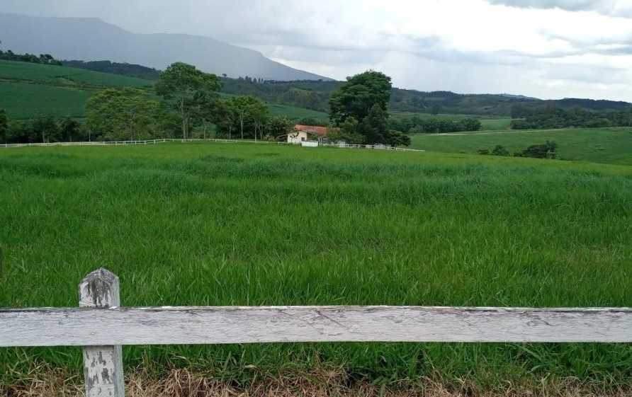 Fazenda à venda com 4 quartos, 6530000m² - Foto 9