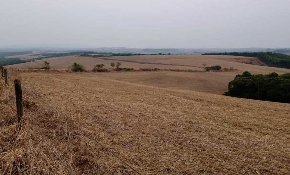 Fazenda à venda com 4 quartos, 6530000m² - Foto 25