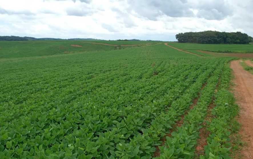 Fazenda à venda com 4 quartos, 6530000m² - Foto 1