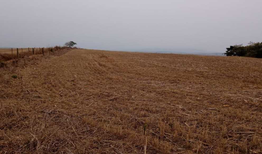 Fazenda à venda com 4 quartos, 6530000m² - Foto 23
