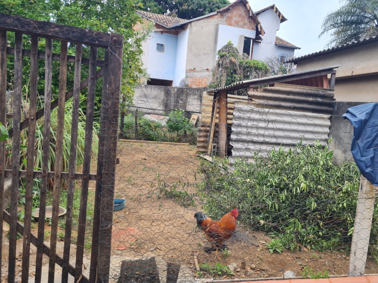 Casa à venda com 2 quartos, 130m² - Foto 10