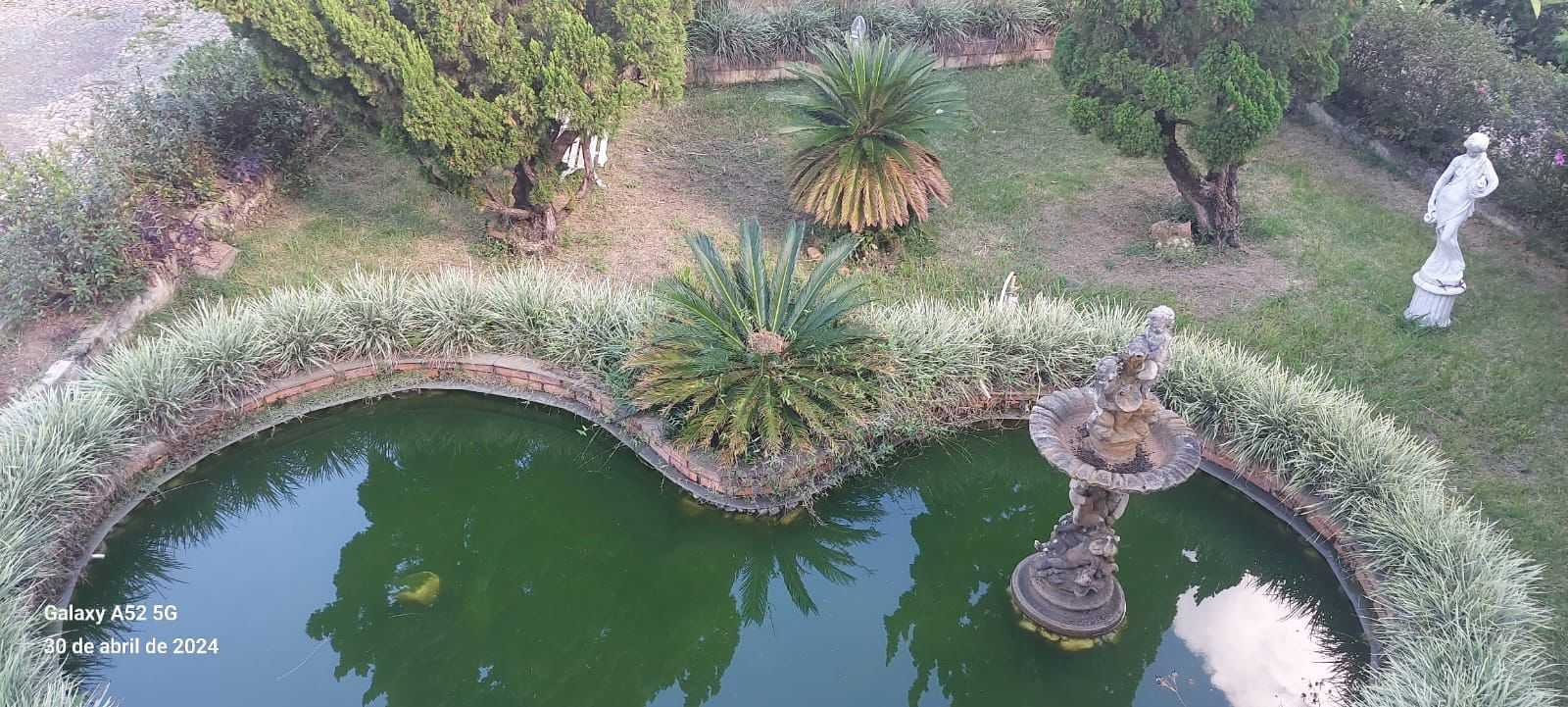 Sítio à venda com 10 quartos, 7000m² - Foto 7