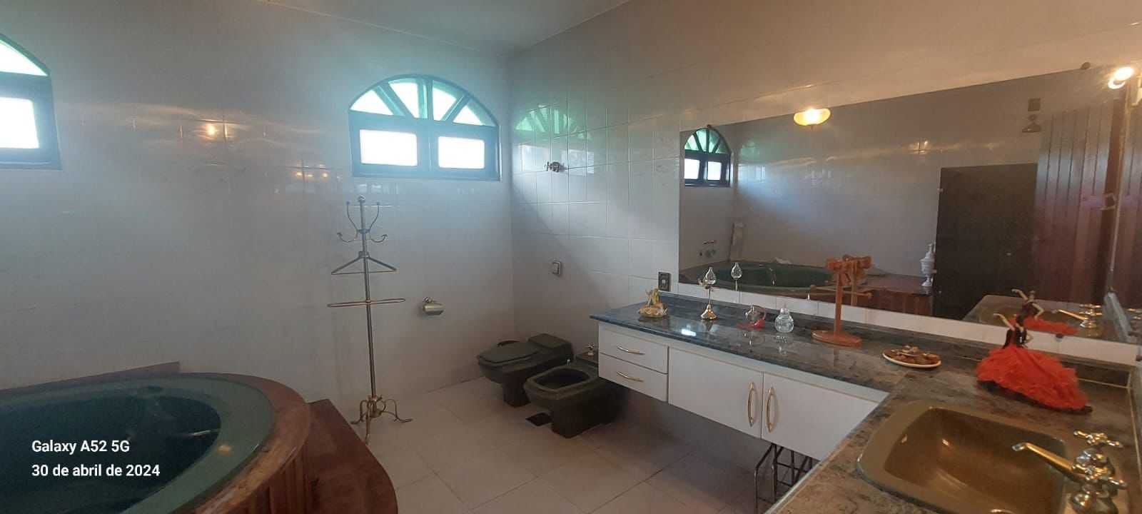 Sítio à venda com 10 quartos, 7000m² - Foto 10