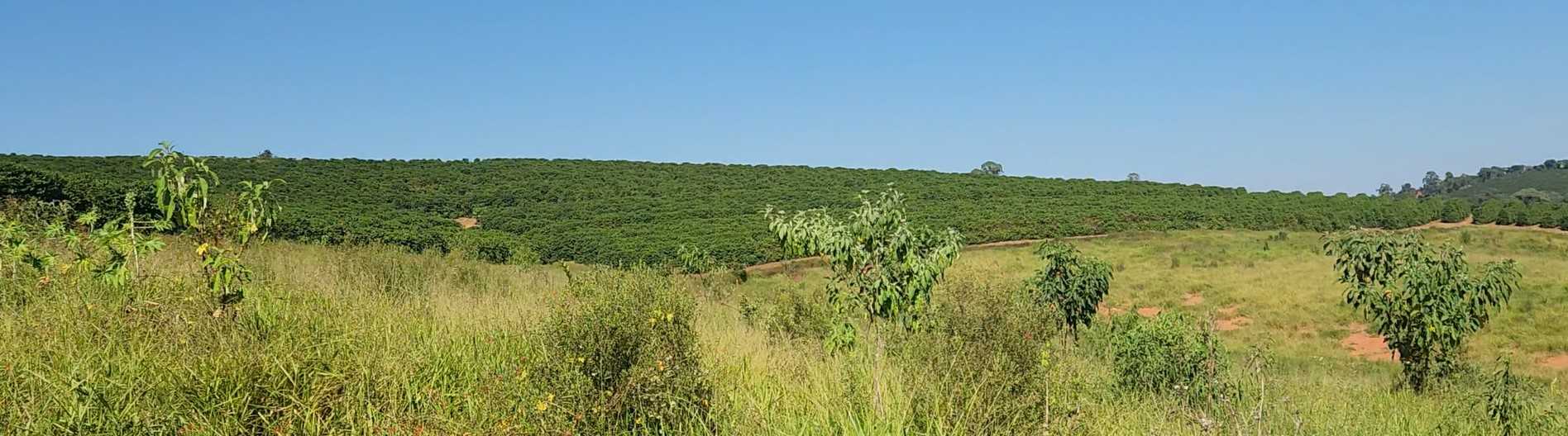 Fazenda à venda com 1 quarto, 1260000m² - Foto 18