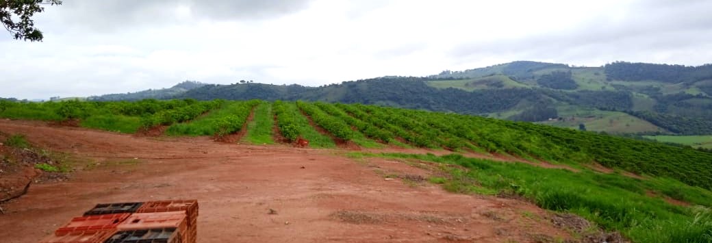 Fazenda à venda com 1 quarto, 1260000m² - Foto 4