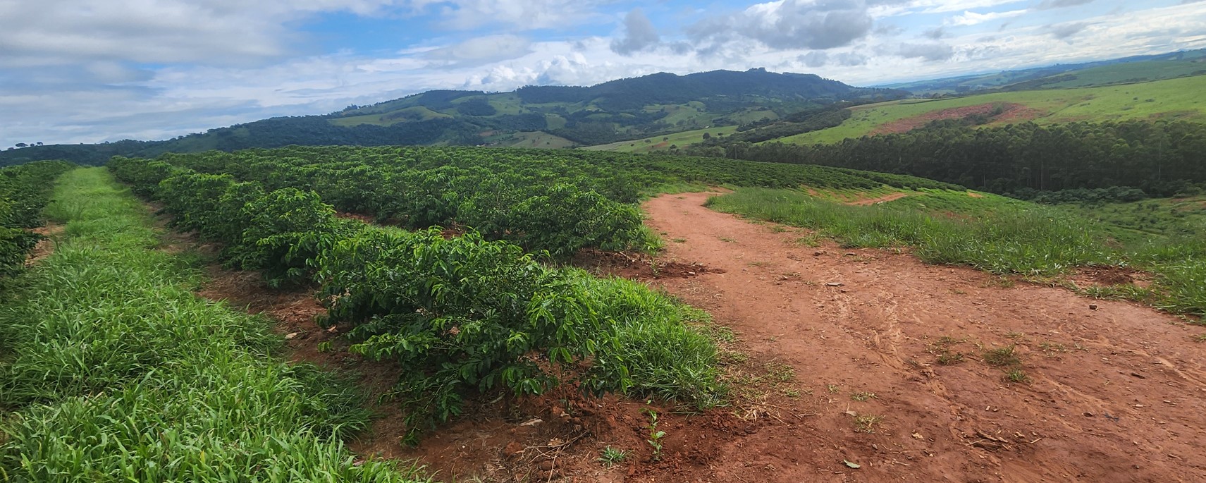Fazenda à venda com 1 quarto, 1260000m² - Foto 1