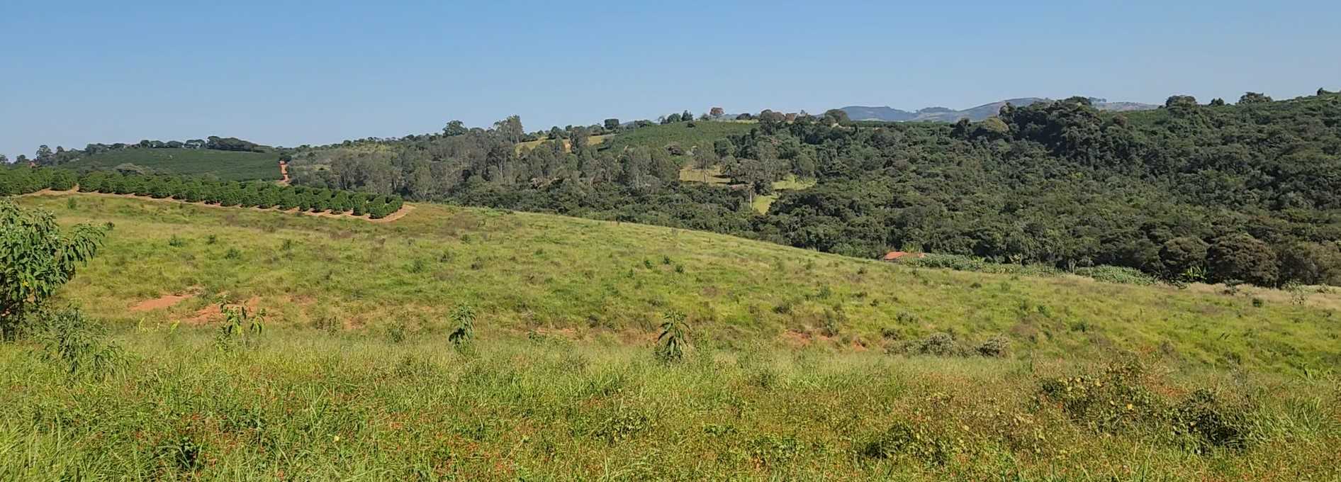 Fazenda à venda com 1 quarto, 1260000m² - Foto 19