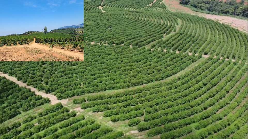 Fazenda à venda com 1 quarto, 1260000m² - Foto 25