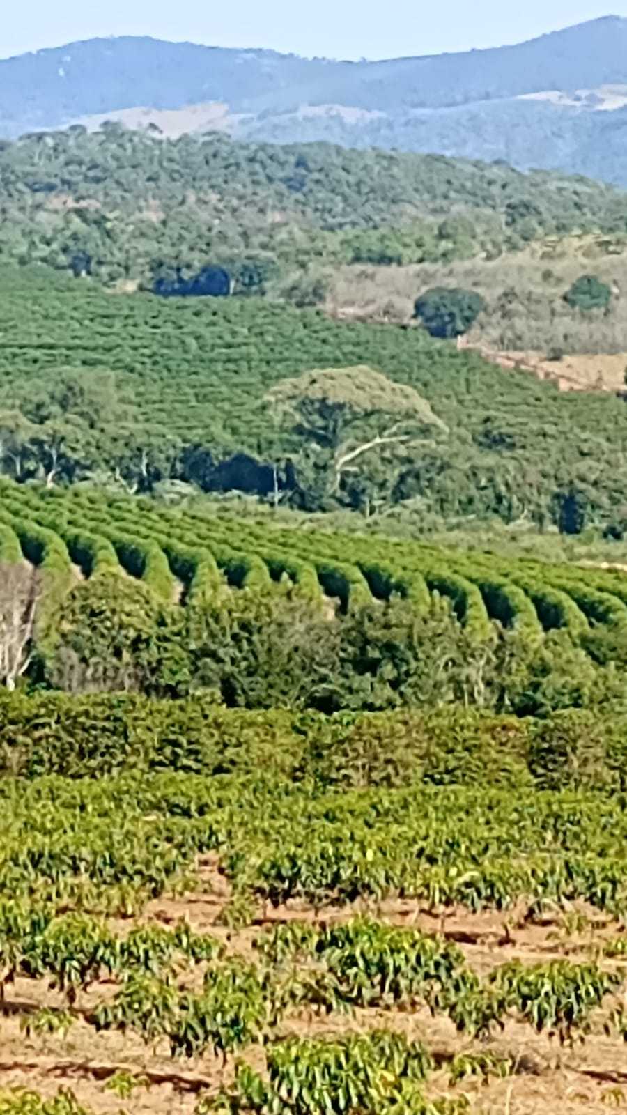 Fazenda à venda com 1 quarto, 1260000m² - Foto 24