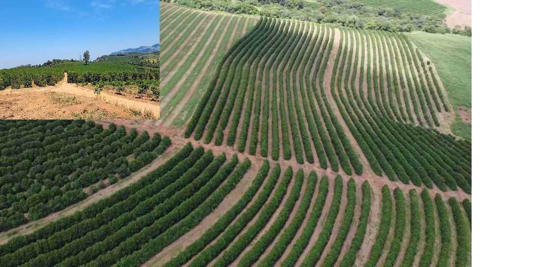 Fazenda à venda com 1 quarto, 1260000m² - Foto 14