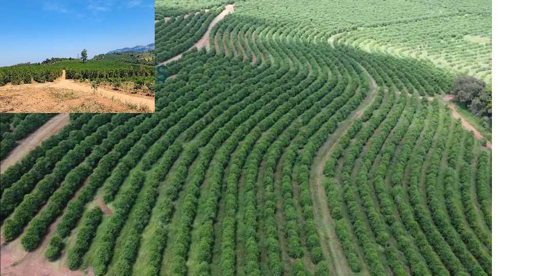 Fazenda à venda com 1 quarto, 1260000m² - Foto 23