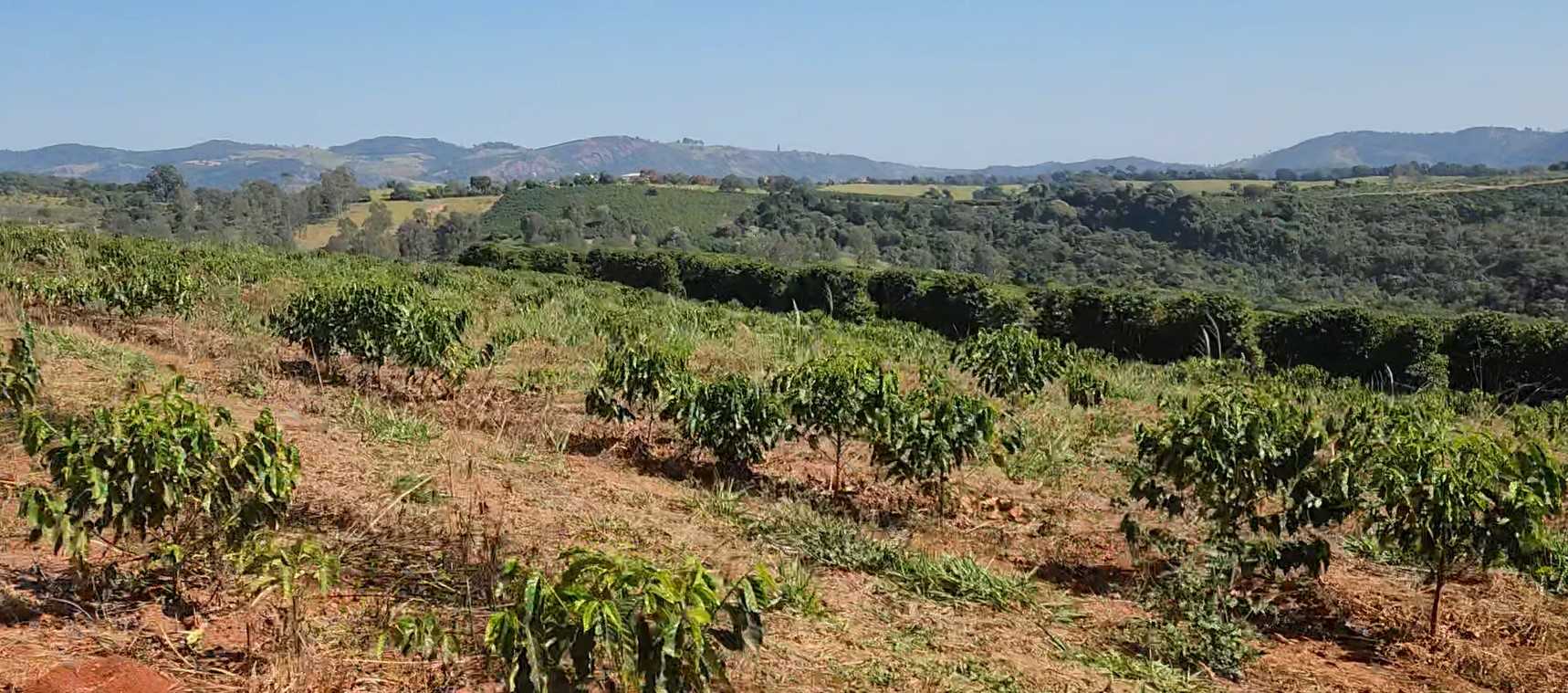 Fazenda à venda com 1 quarto, 1260000m² - Foto 15