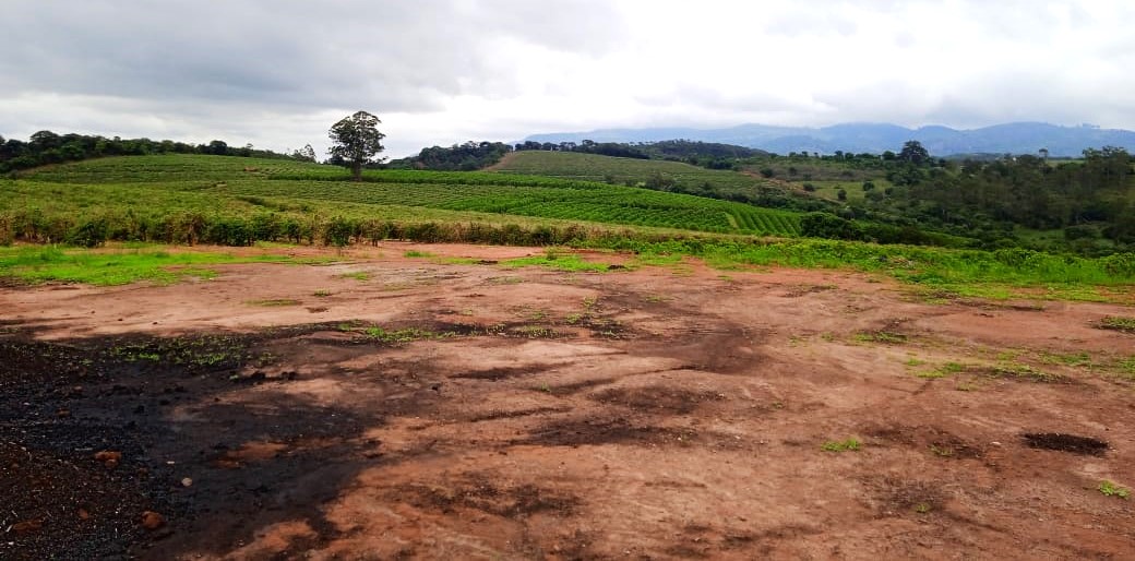 Fazenda à venda com 1 quarto, 1260000m² - Foto 20