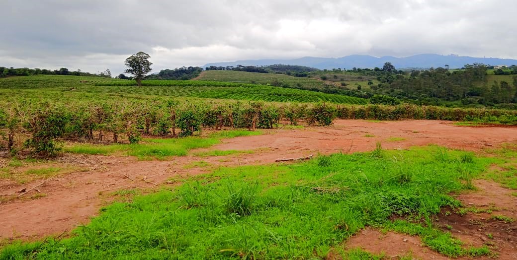 Fazenda à venda com 1 quarto, 1260000m² - Foto 17