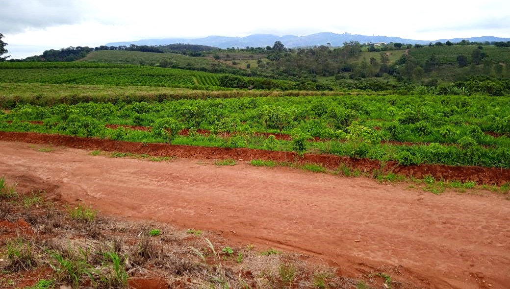Fazenda à venda com 1 quarto, 1260000m² - Foto 16