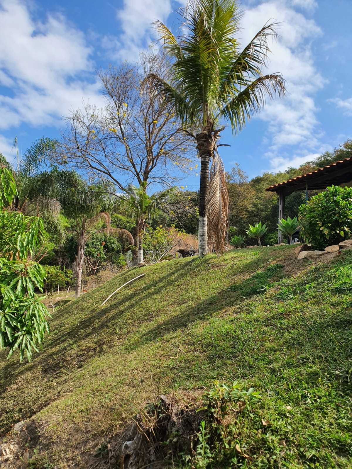 Sítio à venda com 5 quartos, 17000m² - Foto 10