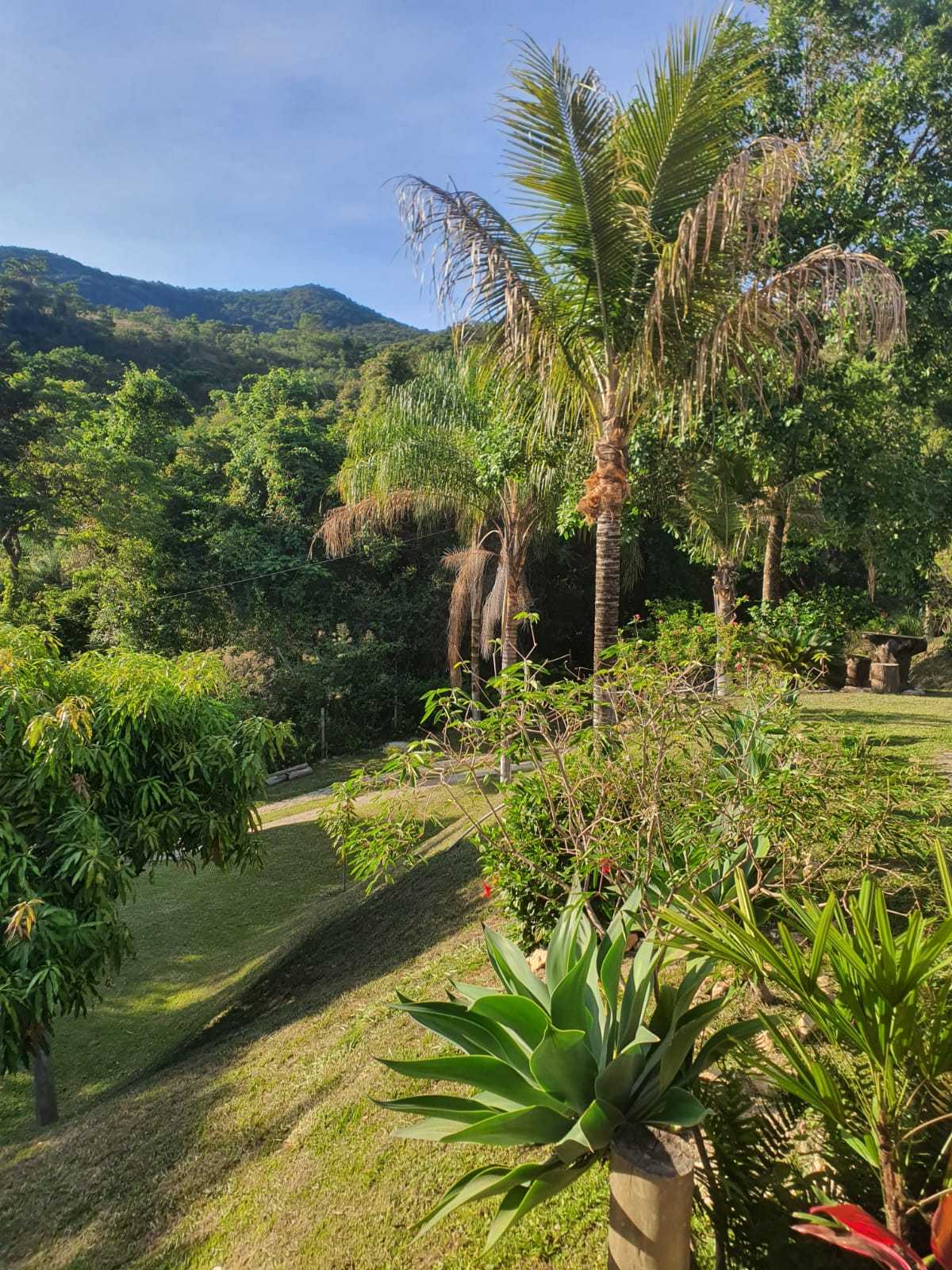 Sítio à venda com 5 quartos, 17000m² - Foto 8
