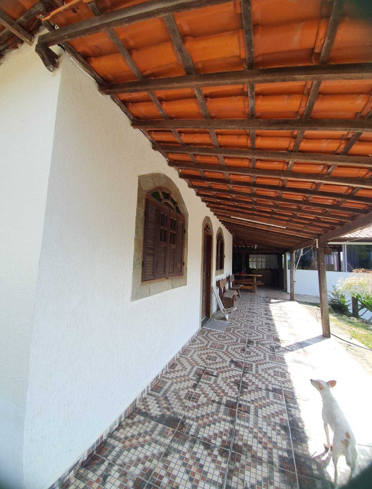Sítio à venda com 5 quartos, 17000m² - Foto 16