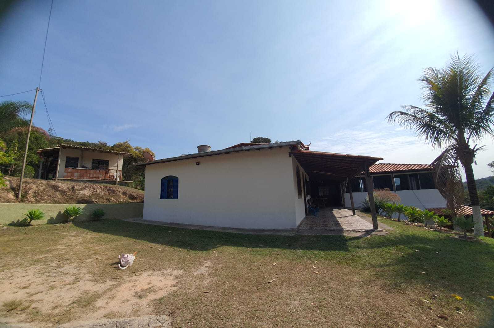 Sítio à venda com 5 quartos, 17000m² - Foto 14