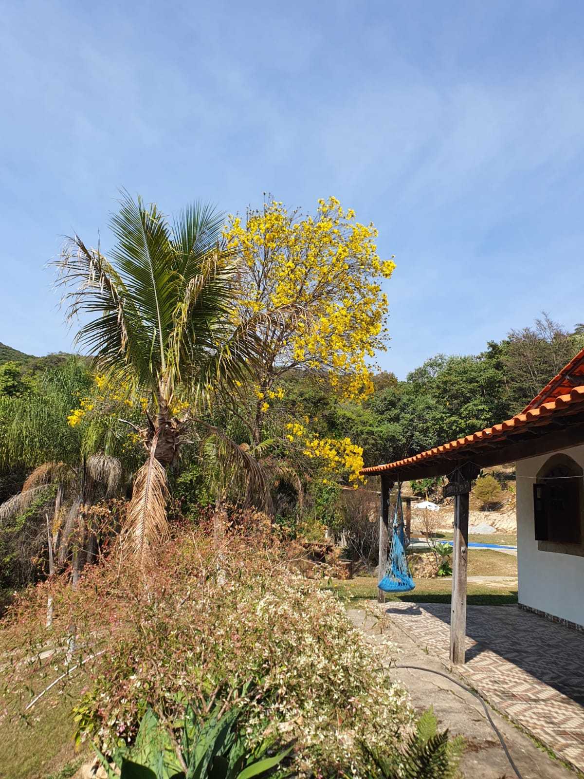 Sítio à venda com 5 quartos, 17000m² - Foto 7
