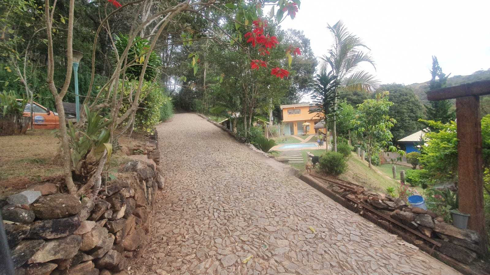 Sítio à venda com 3 quartos, 27000m² - Foto 3
