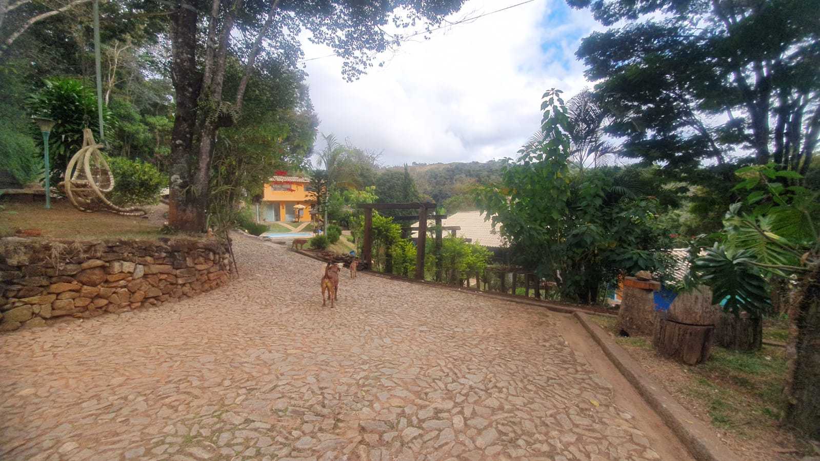 Sítio à venda com 3 quartos, 27000m² - Foto 5