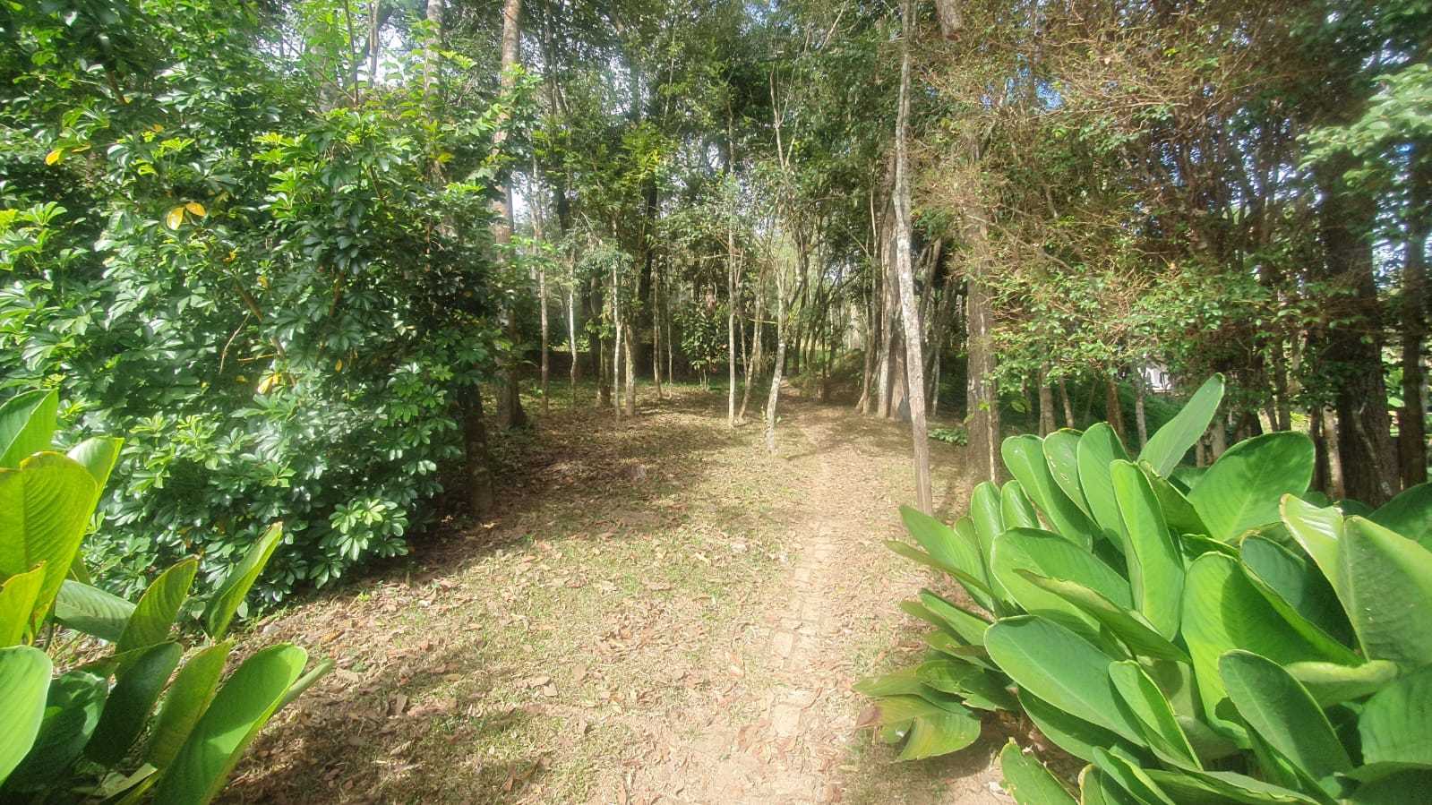 Sítio à venda com 3 quartos, 27000m² - Foto 23