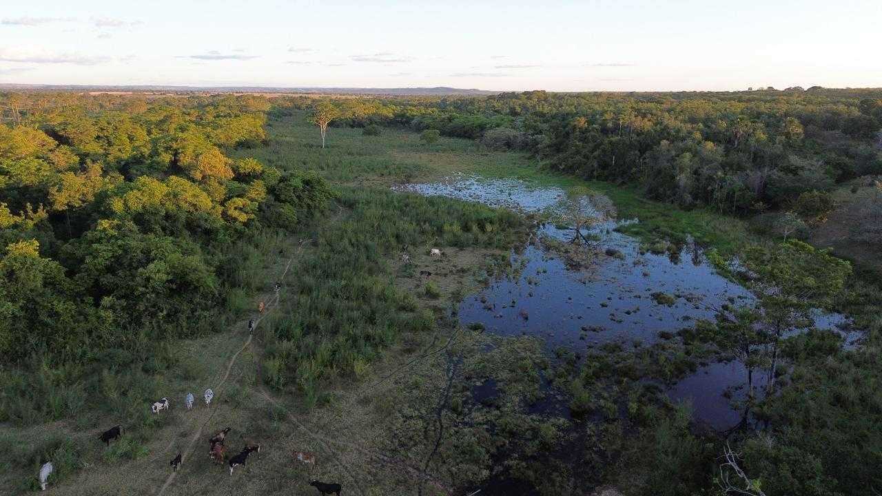 Fazenda à venda com 3 quartos, 3350000m² - Foto 1