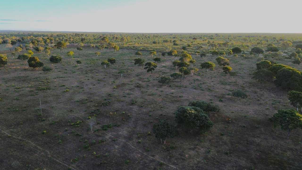 Fazenda à venda com 3 quartos, 3350000m² - Foto 7